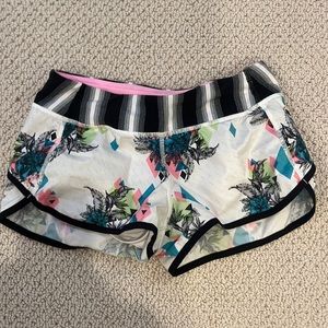 speed up shorts 2.5” multicolored